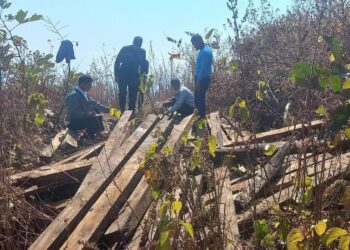 अबैध रुपमा लुकाइराखेको काठ बरामद।