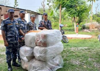 बेलकामा ठुलो परिणाममा गाजा फेला