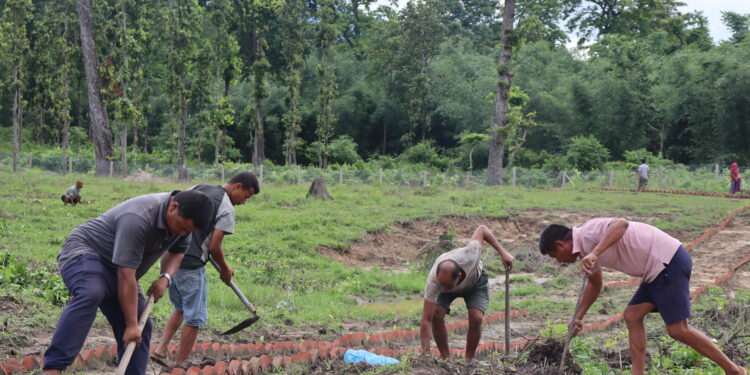 बेलकामा जनश्रमदान सुरु