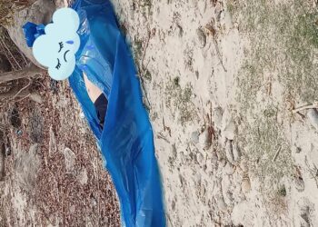 सप्तकोसीको पुलबाट नदिमा हाम फालेर एक व्यक्तिको मृत्यु।