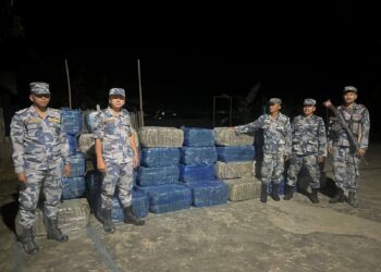 बेलकामा ८९१ केजि ४२३ ग्राम गाँजा बरामद