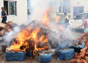 बेलकामा १७७४ किलो ३८७ ग्राम बरामद गाजा नष्ट