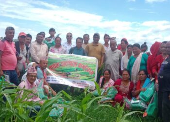 बेलका वडा नम्बर ३को आयोजनामा १५दिने कृषक पाठशाला कार्यक्रम सप्पन्न