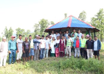 समावेशी पार्कमा एमालेको सरसफाइ तथा गोडमेल कार्यक्रम सम्पन्न