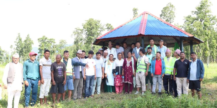 समावेशी पार्कमा एमालेको सरसफाइ तथा गोडमेल कार्यक्रम सम्पन्न