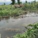 बेलका २ मा वेपत्ता तिखे तामाङ मृत अवस्थामा फेला